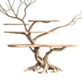 Florien Sculpted Solid Wood Console Table With Shelves